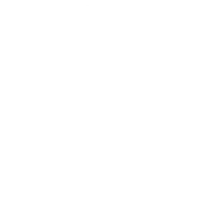 ikona8